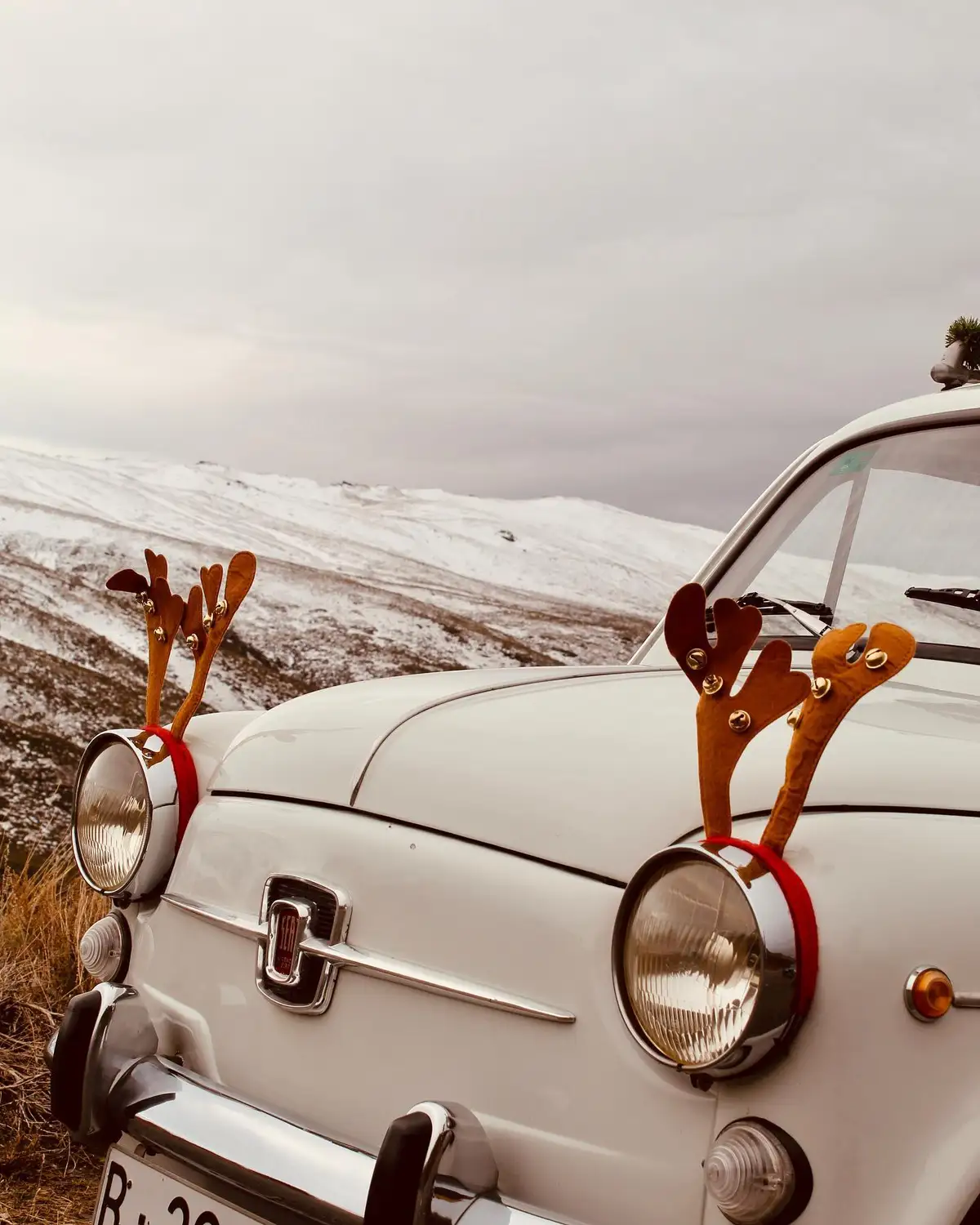 Seat 600