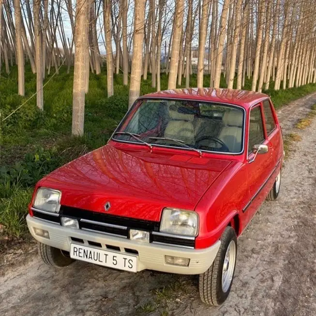 Renault 5 TS