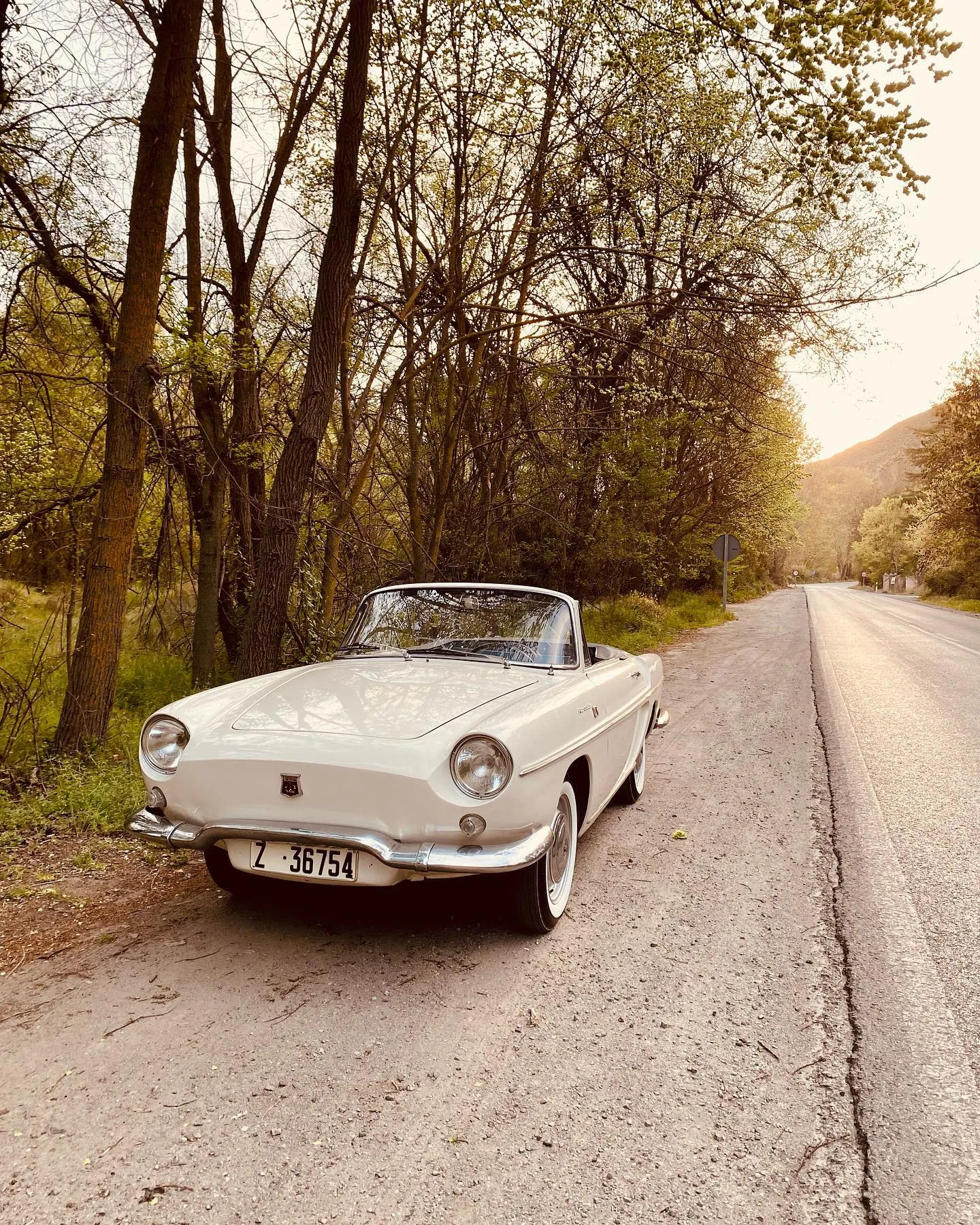 Renault Floride